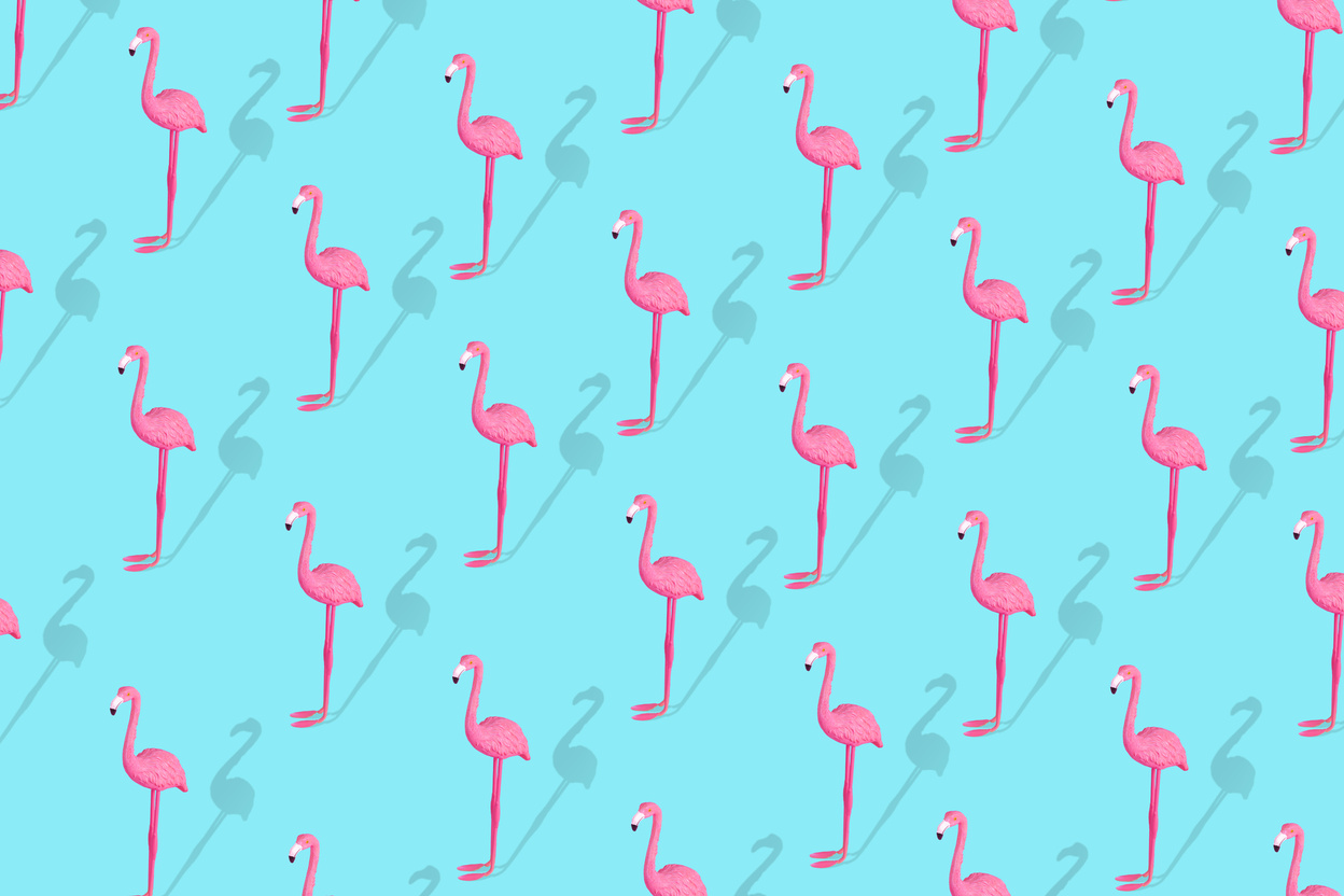 Trendy  Summer pattern made with pink flamingo on bright light blue background